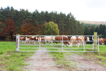 Profi-Weidezauntor, verstellbar, Höhe 0,90 m