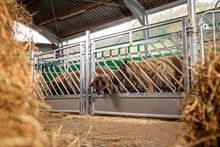 Selbstschließendes Fressgitter für Schafe, Höhe 1,00 m