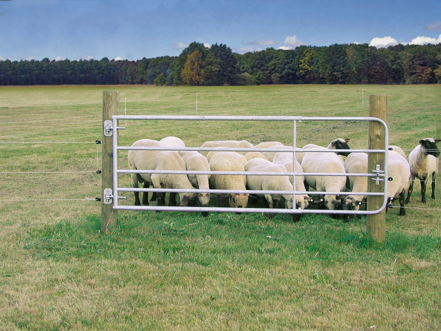 Profi-Weidezauntor, verstellbar, Höhe 0,90 m