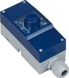 Frostschutz-Thermostat