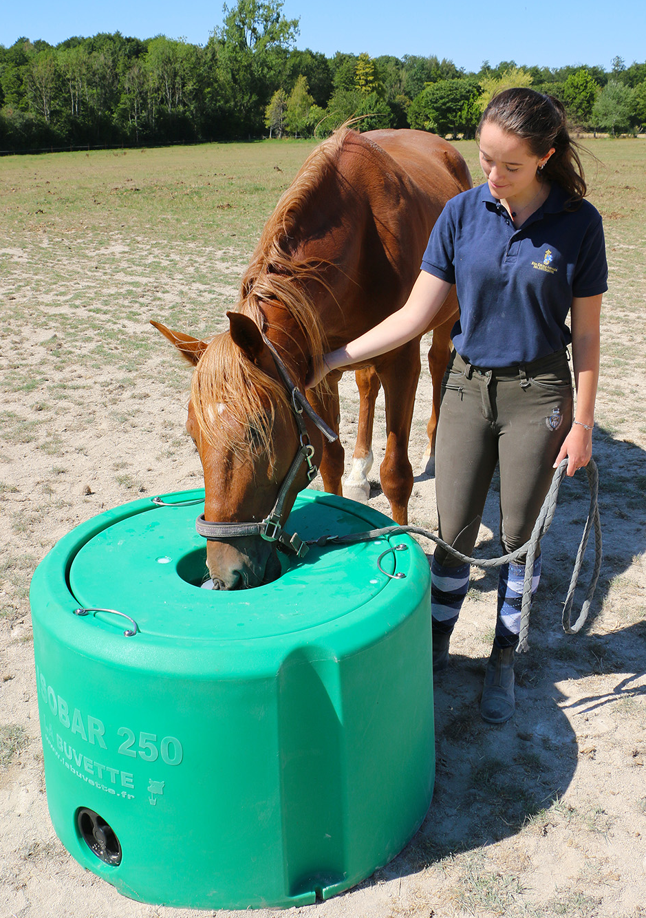 Thermo-Tränke Isobar 250 Inhalt 250 l, lebensmittelechtes HDPE