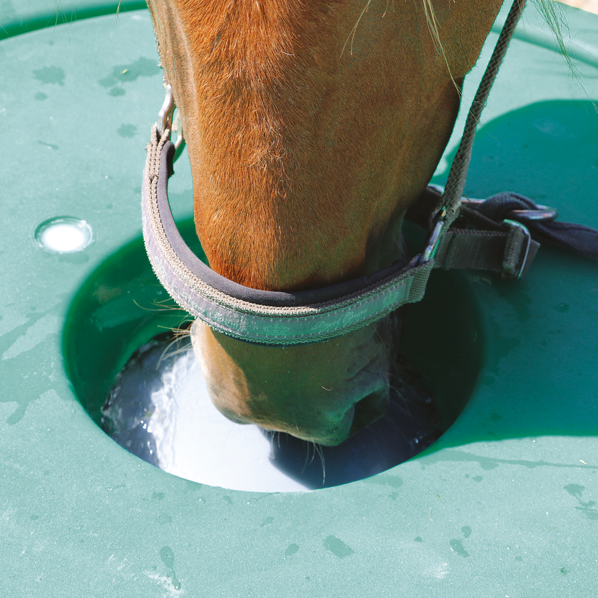 Thermo-Tränke Isobar 250 Inhalt 250 l, lebensmittelechtes HDPE