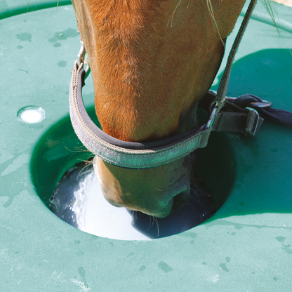 Thermo-Tränke Isobar 250 Inhalt 250 l, lebensmittelechtes HDPE