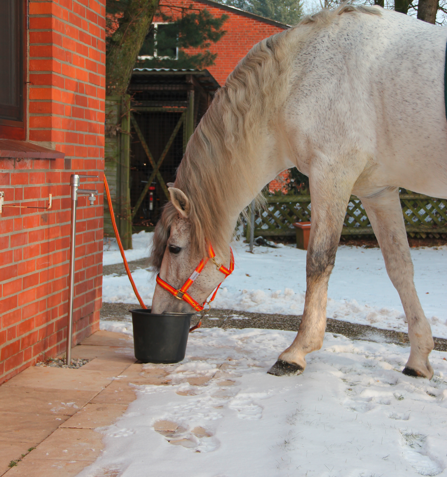 Frostsicheres Standventil (geeignet bis 8 bar Wasserdruck)