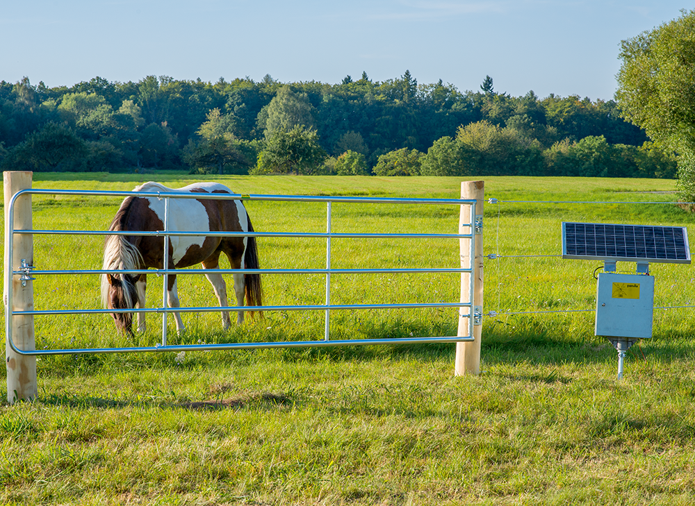 Profi-Weidezauntor, verstellbar, Höhe 1,10 m