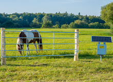 Profi-Weidezauntor, verstellbar, Höhe 1,10 m