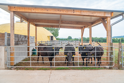 Profi-Weidezauntor, verstellbar, Höhe 1,10 m