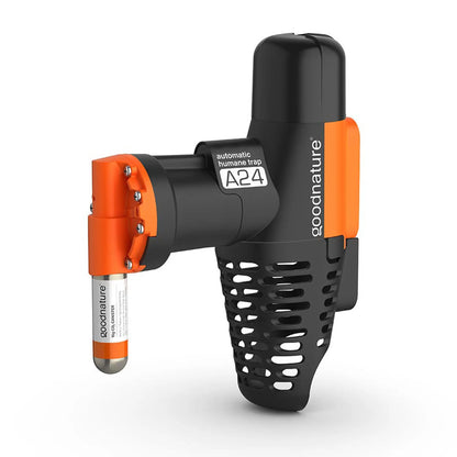 Schutzkorb für A24 Falle