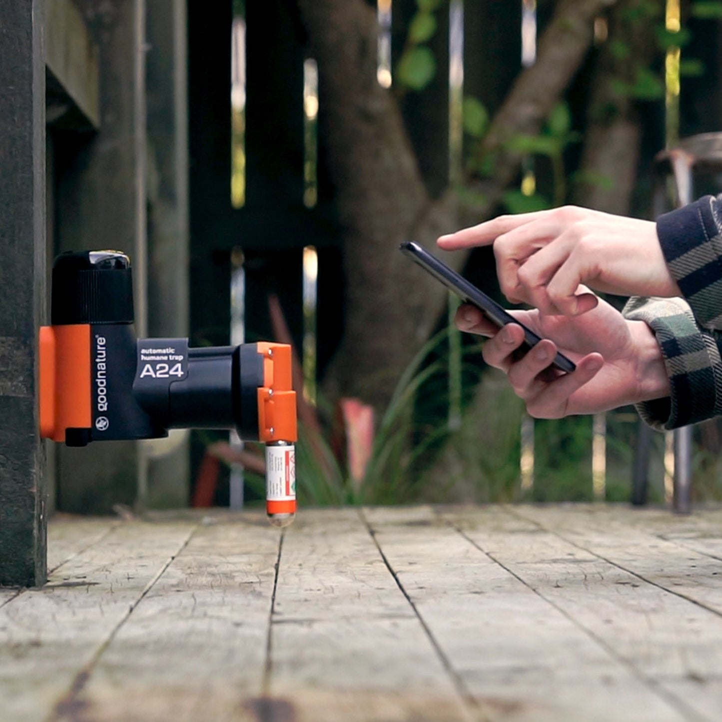 Ratten- und Mausefalle A24 giftfrei, KOMPLETTSET von Goodnature