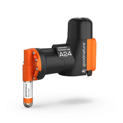 Ratten- und Mausefalle A24 giftfrei, STARTERSET von Goodnature