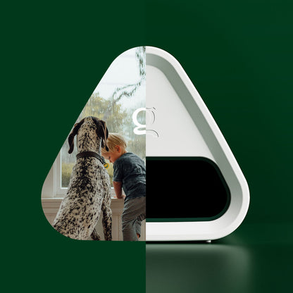Goodnature Smart-Mäusefallen-Kit