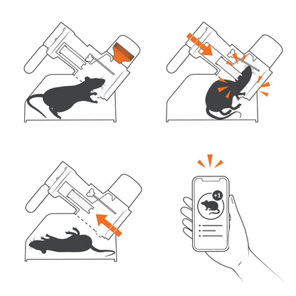 A24 Ratten- und Mäusefallen Smart-Kit von Goodnature