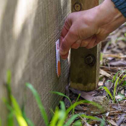 A24 Ratten- und Mäusefallen Smart-Kit von Goodnature