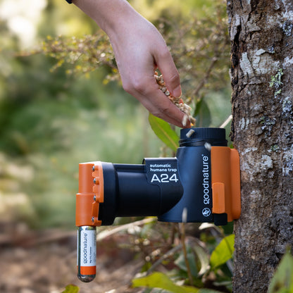 A24 Ratten- und Mäusefallen Smart-Kit von Goodnature