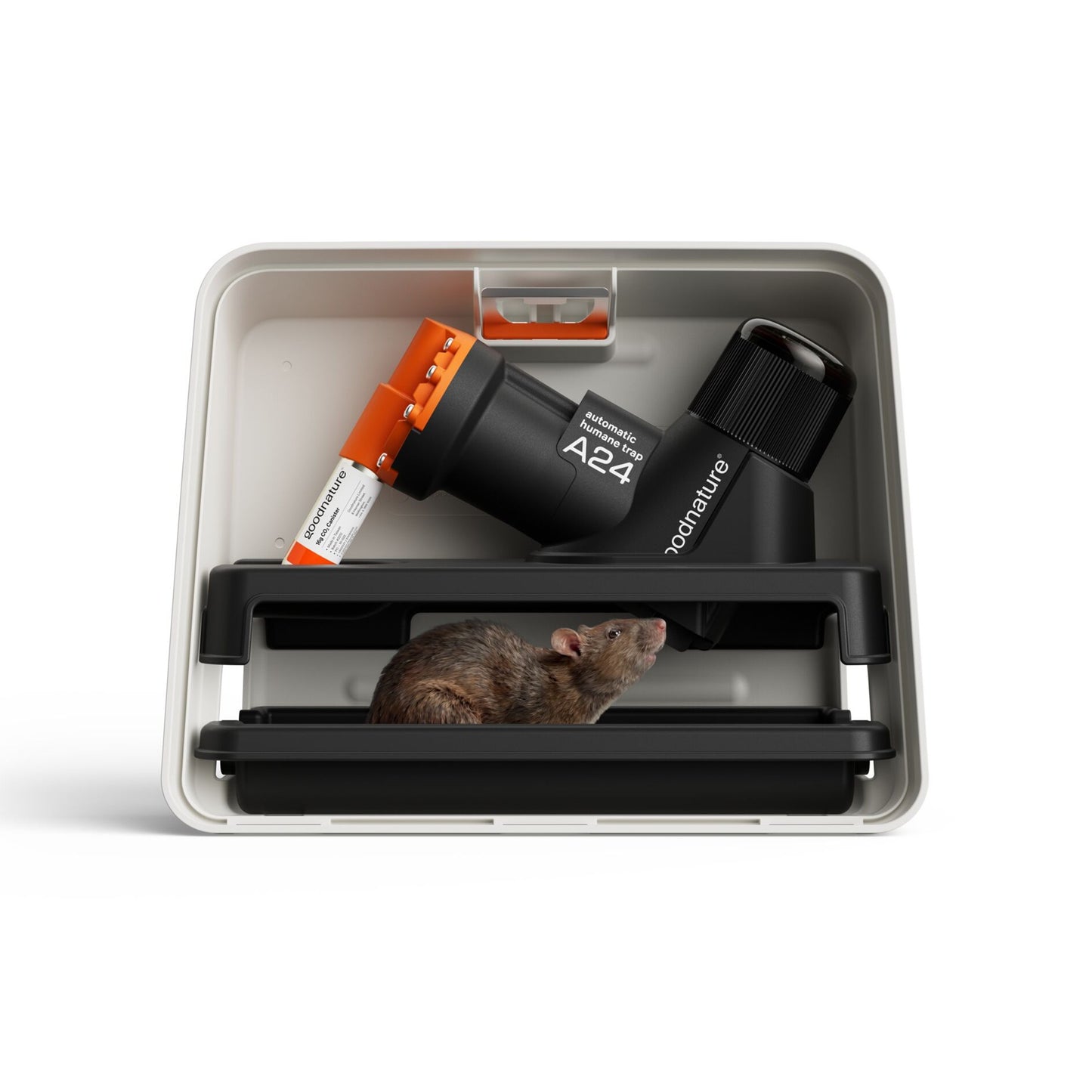 Ratten- und Mausefalle A24 giftfrei, PROFISET von Goodnature