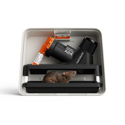 Ratten- und Mausefalle A24 giftfrei, PROFISET von Goodnature