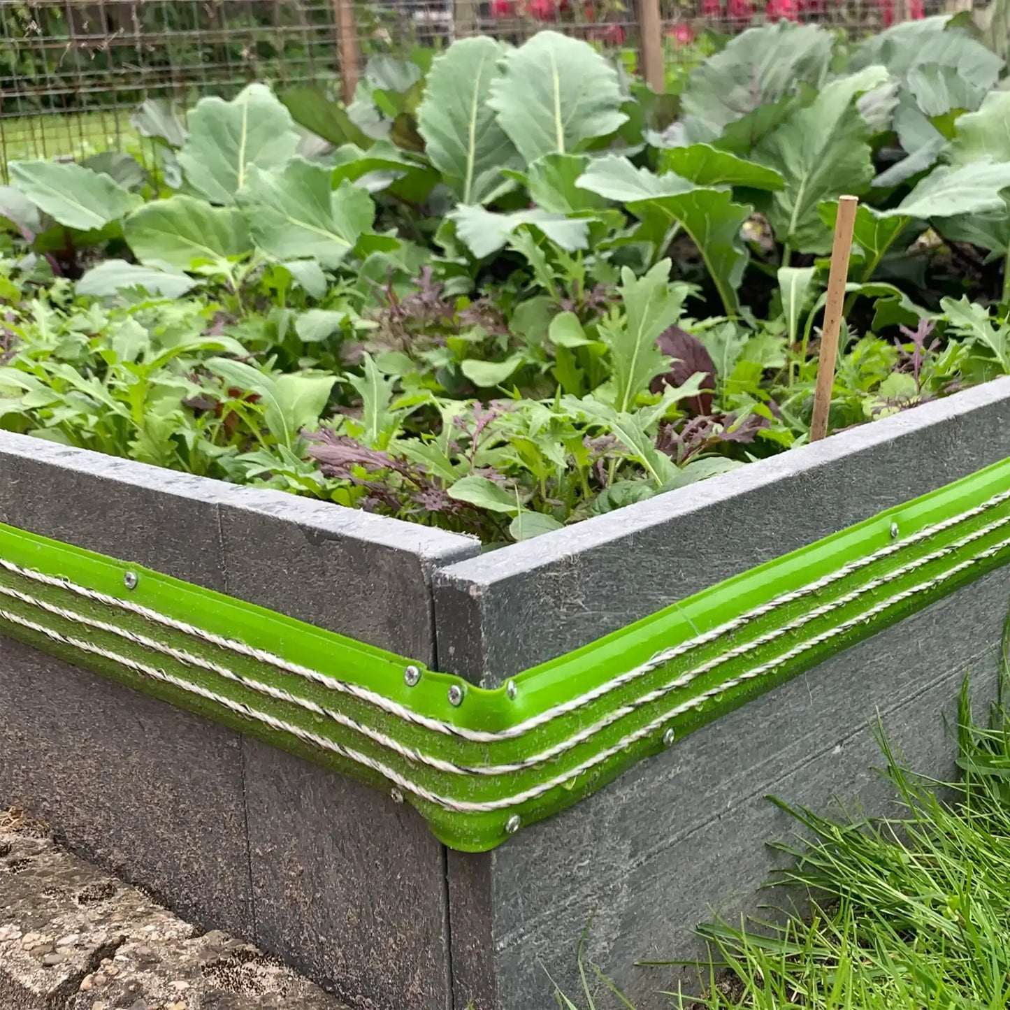 Schneckenzaun Anschlussdose