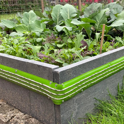 Schneckenzaun Anschlussdose