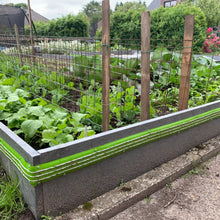 Schneckenzaun Anschlussdose