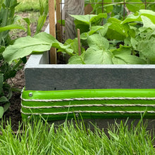 Schneckenzaun Anschlussdose