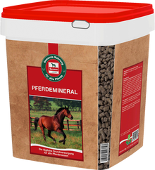 Salvana Pferdemineral 4 kg