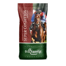 St. Hippolyt Super Condition