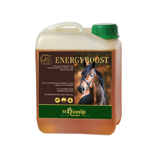 St. Hippolyt WES Energy Boost 5 ltr.
