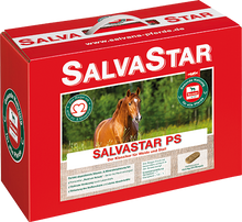 Salvana Salvastar PS-Brikett