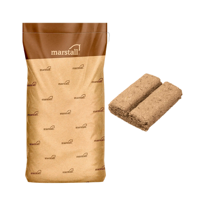 Marstall Stall-Riegel