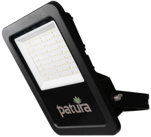 LED-Flutlicht Power-Line