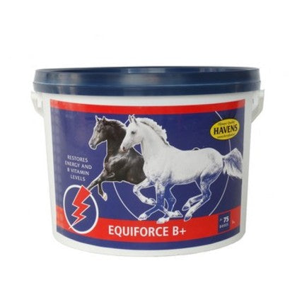 Havens EquiForce B+