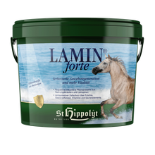 St. Hippolyt Lamin Forte