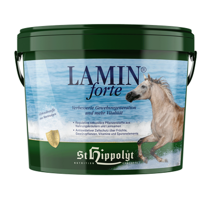St. Hippolyt Lamin Forte