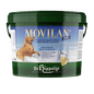 St. Hippolyt Movilan Dog