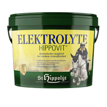 St. Hippolyt Elektrolyt