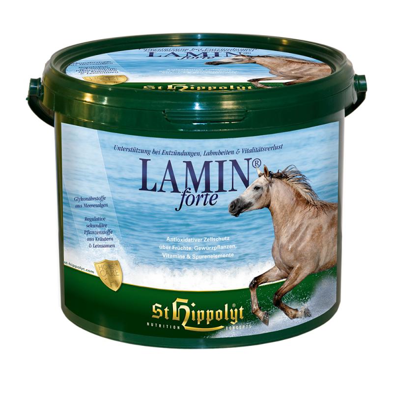St. Hippolyt Lamin Forte
