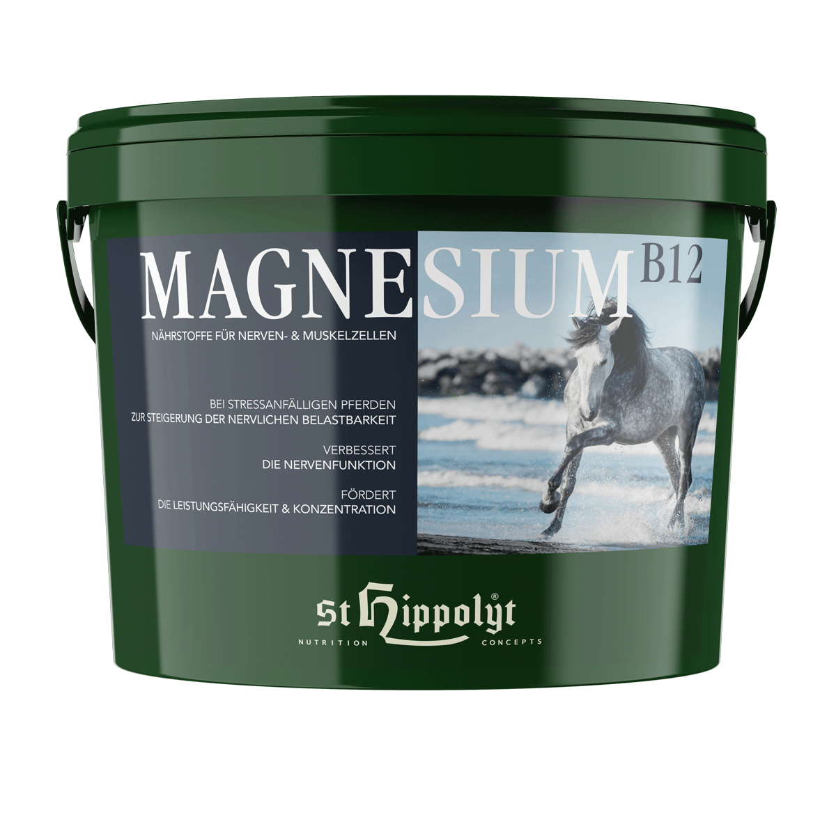 St. Hippolyt Magnesium B 12