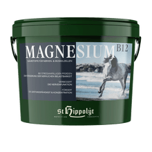 St. Hippolyt Magnesium B 12