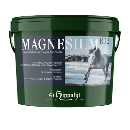 St. Hippolyt Magnesium B 12