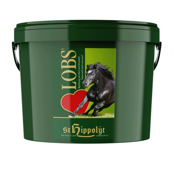 St. Hippolyt Lobs