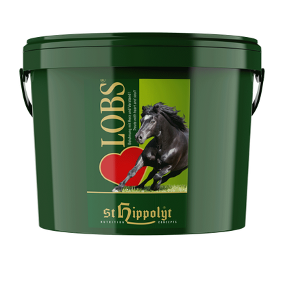 St. Hippolyt Lobs