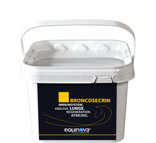 Equinova Broncosecrin Powder