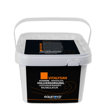 Equinova Vitalysan Powder