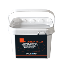 Equinova Vitalysan Pellet