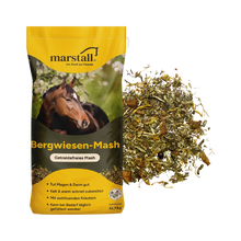 Marstall Bergwiesen-Mash