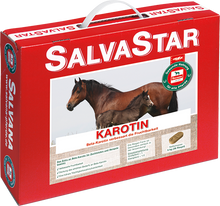 Salvana Salvastar Karotin 5 kg