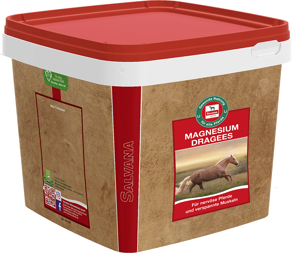 Salvana Magnesium Dragees 3 kg