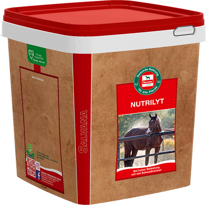 Salvana Nutrilyt 700 gr.