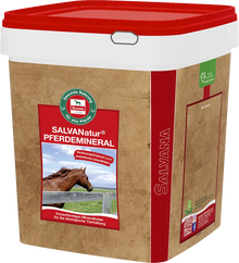 Salvana SalvaNatur Pferdemineral 8 kg