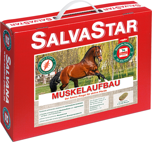 Salvana Salvastar Muskelaufbau 5 kg